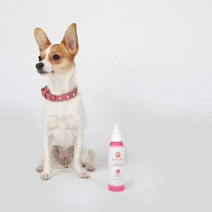 Shampoo Geranium Sage