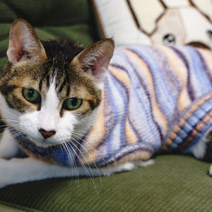 🌈🐾 Cozy Soft Gradient Yarn Crew Neck Sweater