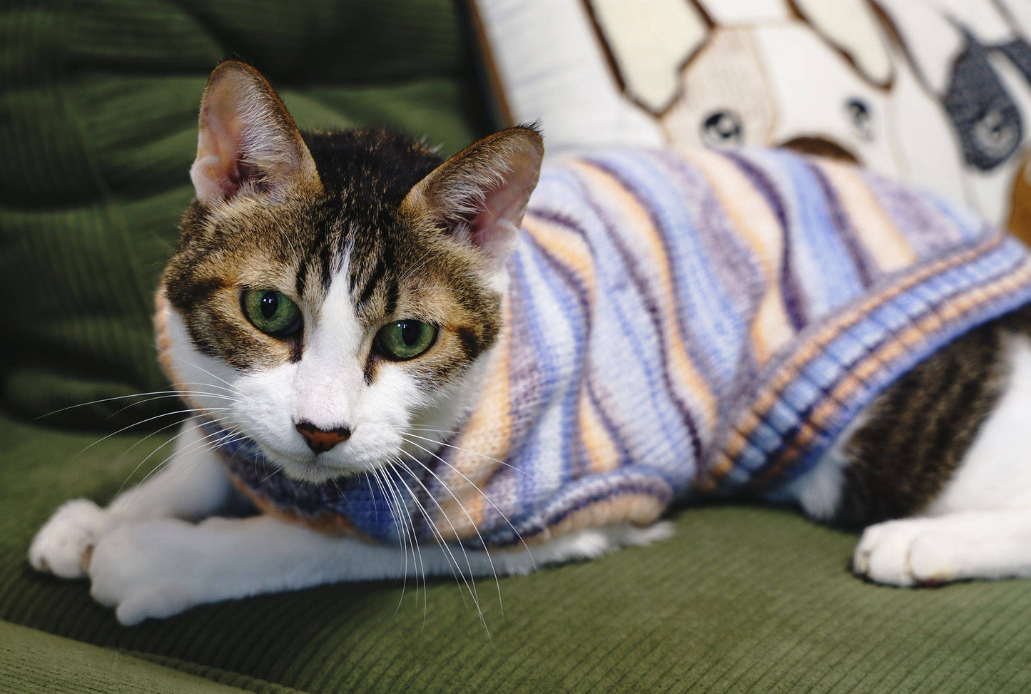 🌈🐾 Cozy Soft Gradient Yarn Crew Neck Sweater