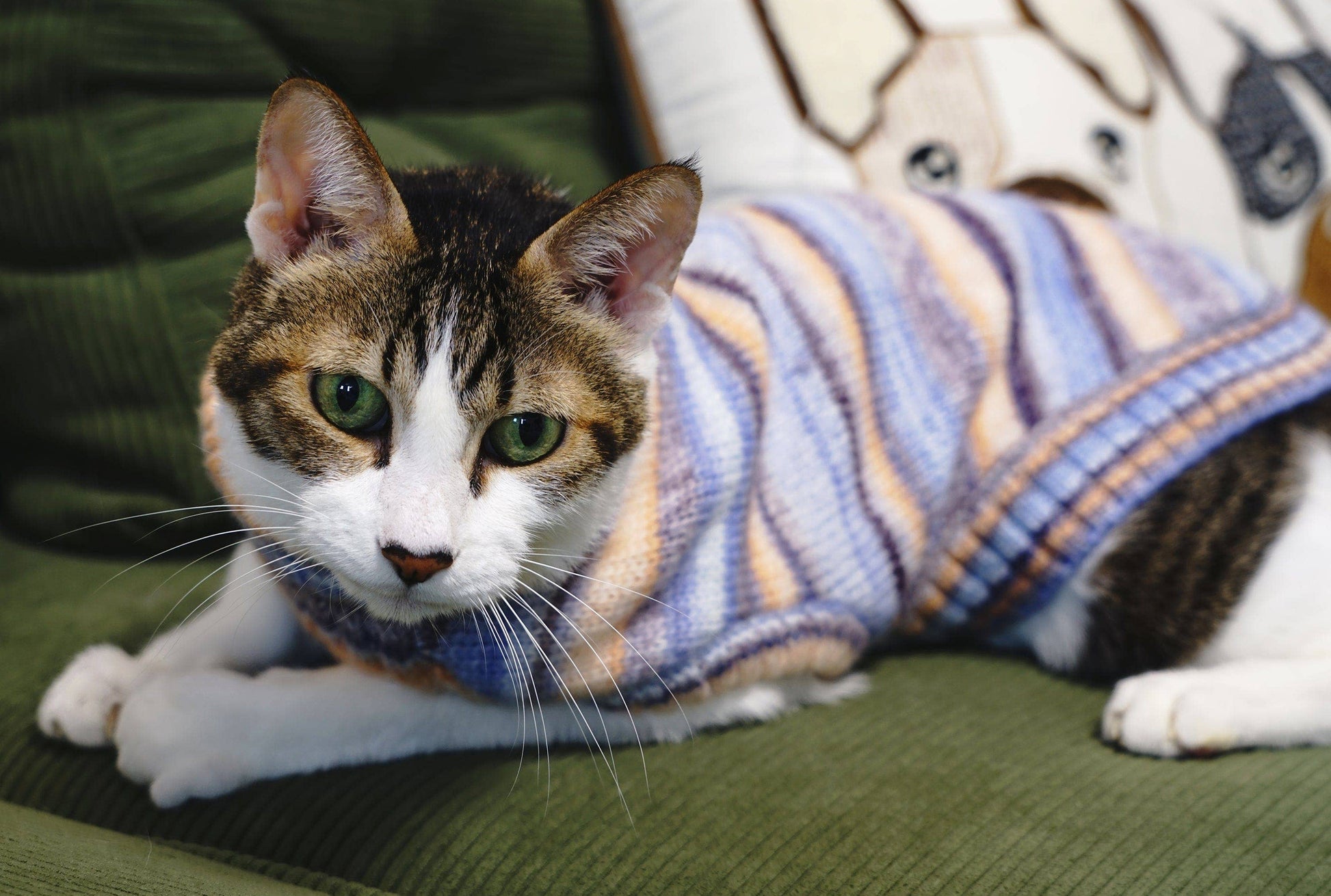 🌈🐾 Cozy Soft Gradient Yarn Crew Neck Sweater