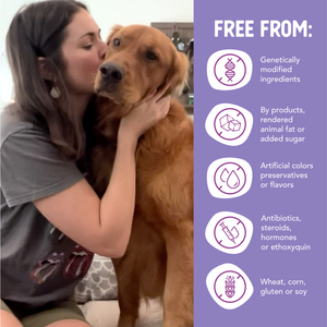 Little Cups Small Breed