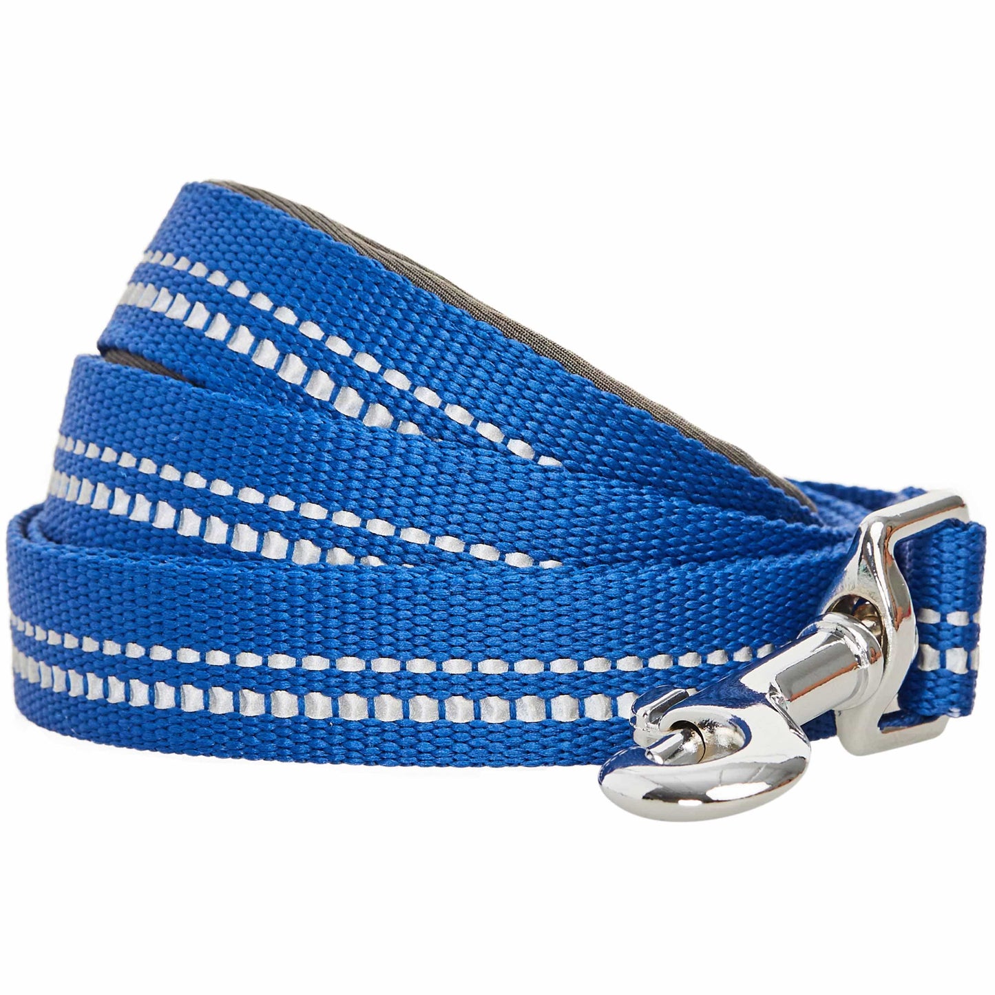 🌸 Spring Colors Reflective Soft Padded Safety Dog Leash