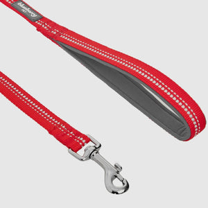 Spring Colors 3M Reflective Soft Padded Safety Leash