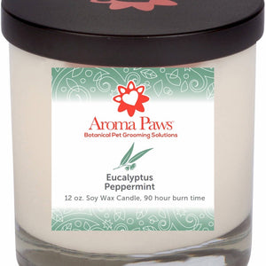 12 Oz Candle Eucalyptus Peppermint