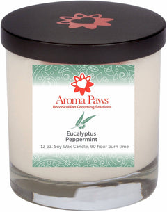 Eucalyptus Peppermint 12oz Candle