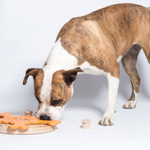 Carousel of Bones dog game