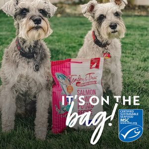 Salmon & Sweet Potato Recipe Dry Dog Food, M/L bag