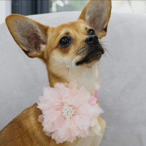 Flower + Crown Pendant Collar Accessory Set