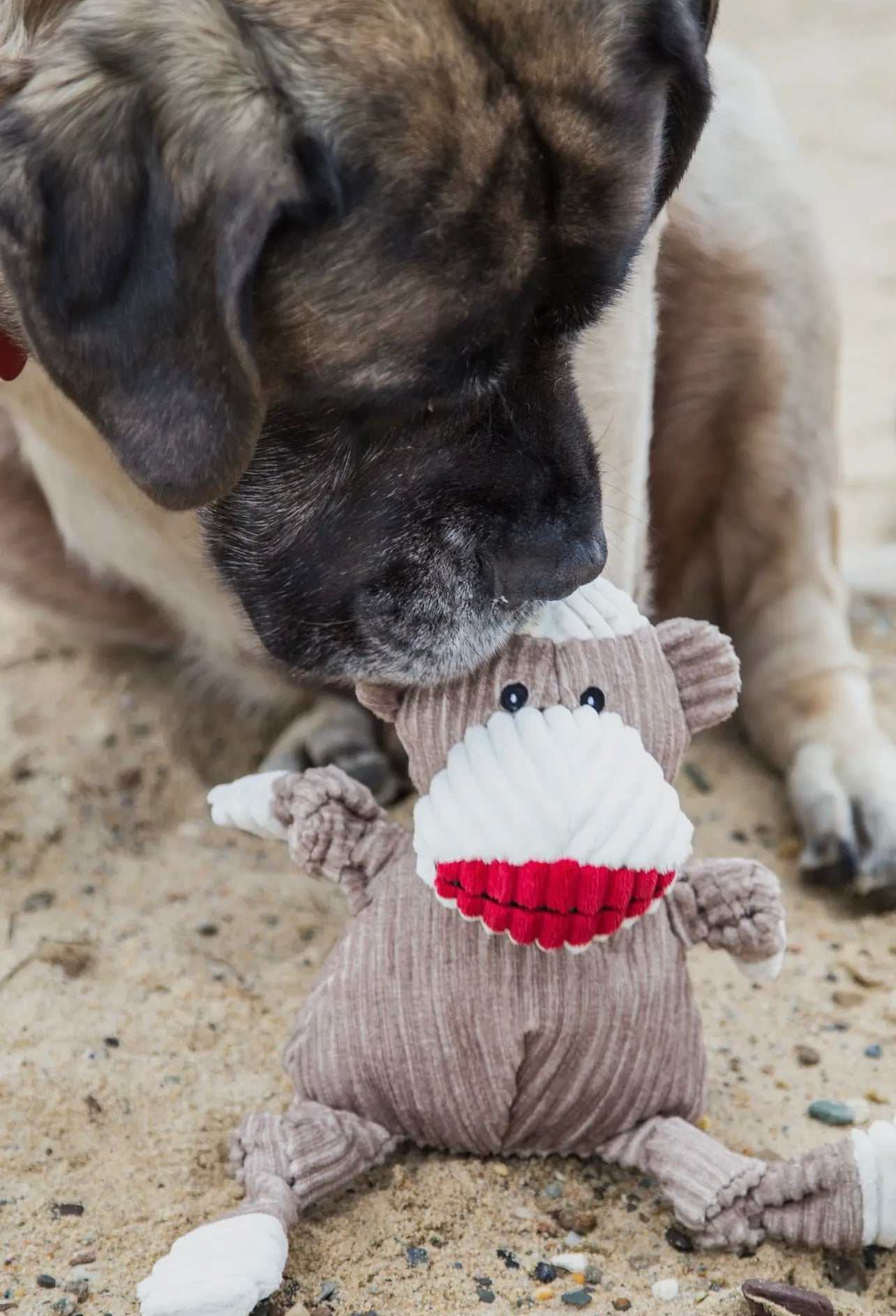 Stuey Sock Monkey Knottie® Plush Dog Toy