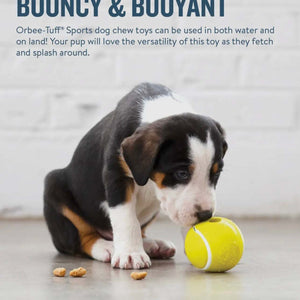 Planet Dog Orbee-Tuff Tennis Ball