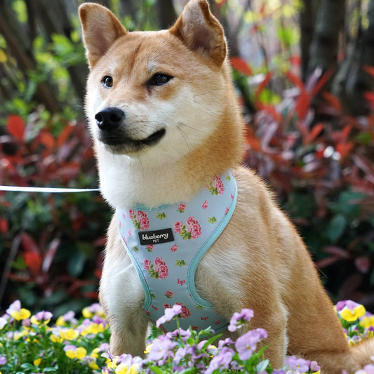 3 Colors, Petal Paws Floral Dog Harness Vest