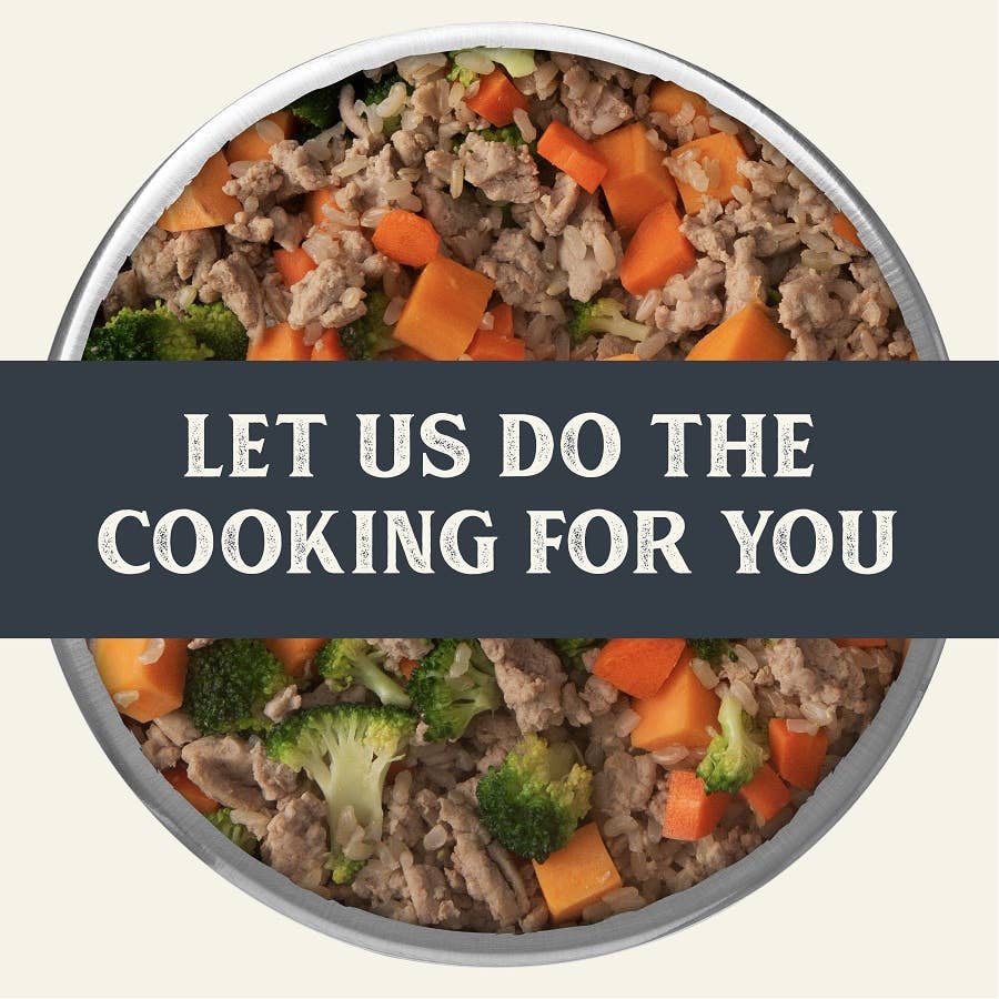 Gently Cooked Lamb & Carrot Recipe Pouches for Dogs