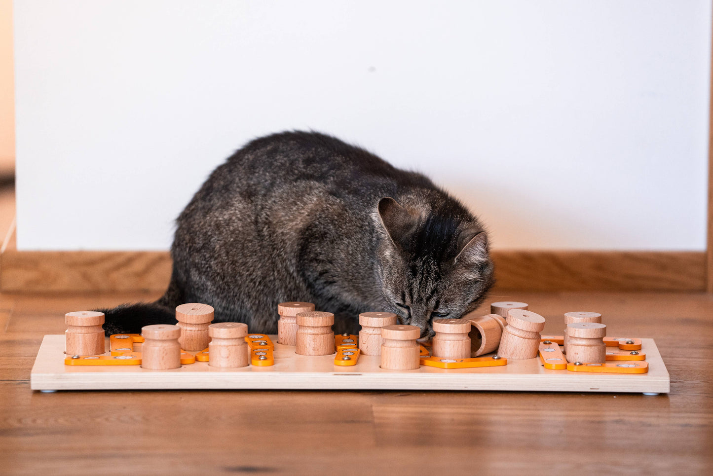 MICE - Pet Puzzle