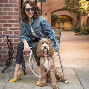 3M Reflective Dog Leash