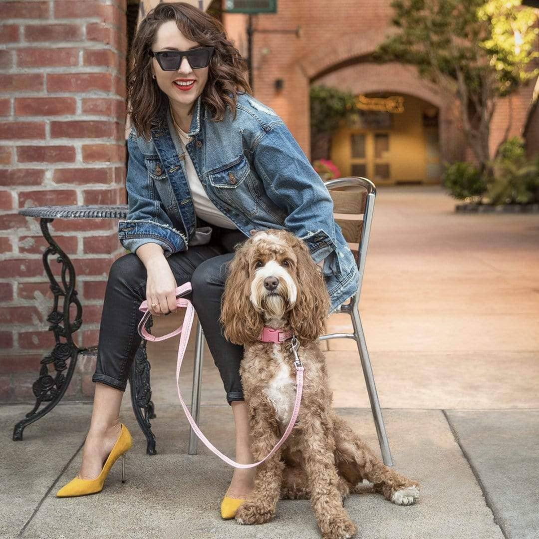 🌸 Spring Colors Reflective Soft Padded Safety Dog Leash