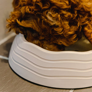 Recycled Ocean Plastic Dog Bowl