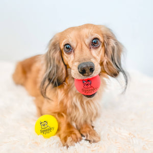 Fetch and Glow Ball