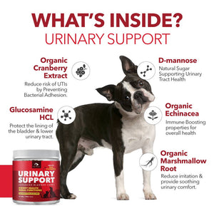 Cranberry Urinary Support Powder for Dogs & Cats