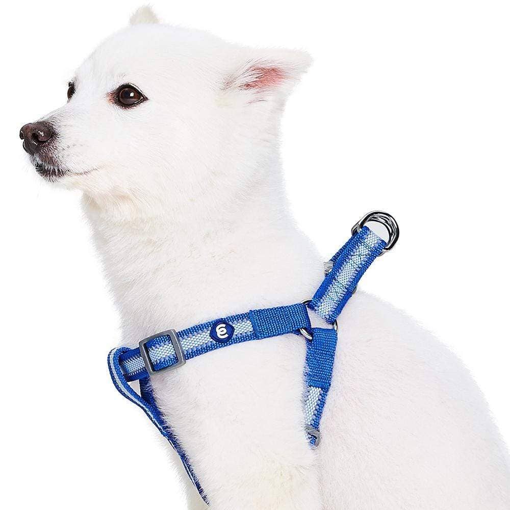 🌙🐾Better Basics Reflective Dog Harness