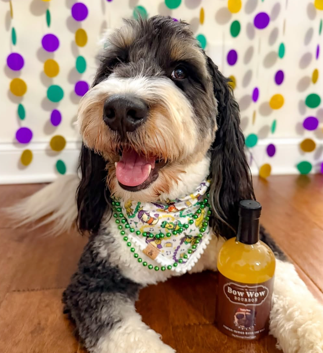 💧🎃Bow Wow Bourbon | Pumpkin