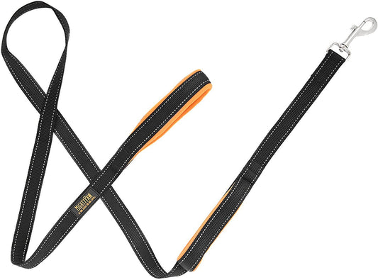 🐾 Mighty Paw HandleX2 Dog Leash – Dual Control, Maximum Comfort & Safety 🚶