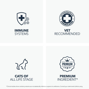 L-Lysine Supplement for Cats