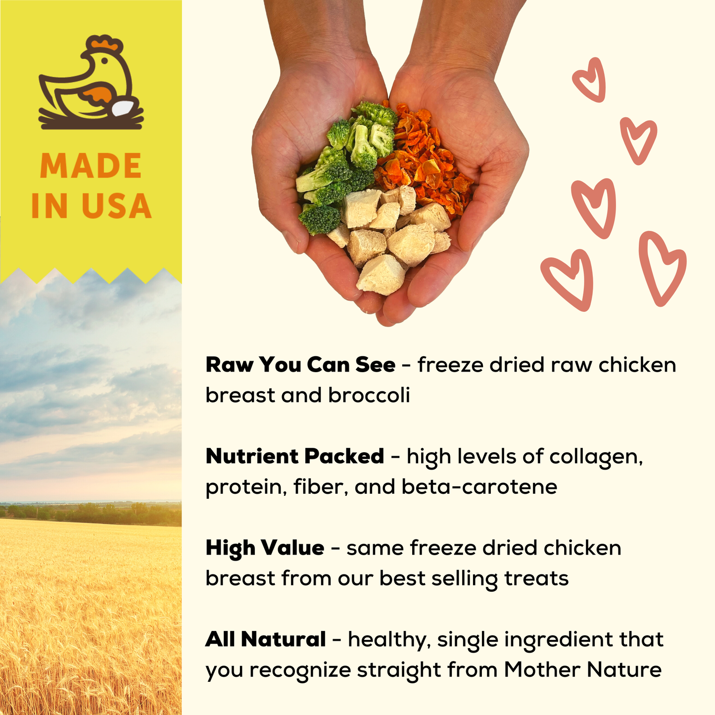 🥇🐾A Better Dog Food Chicken - High Protein - Raw You Can See