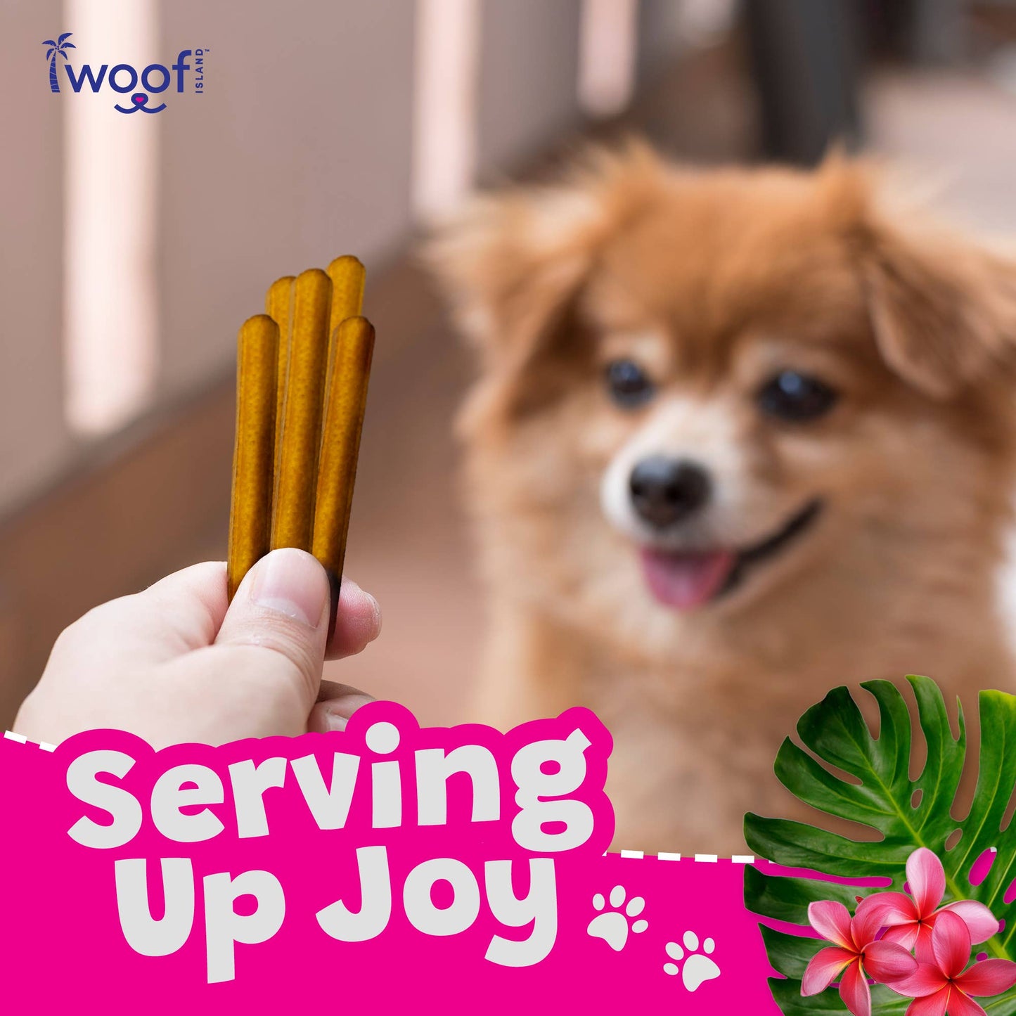 🌺🐷 Woof Island™ Kalua Pork Rolls – Long-Lasting Rawhide-Free Pork Chews for Dogs