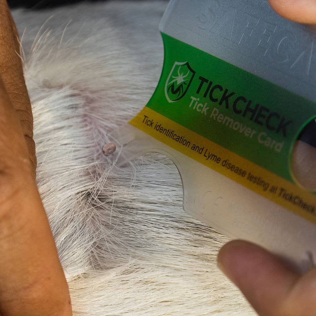 🪲 TickCheck Tick Remover Card | Wallet-Sized Tick Removal Tool 🐾