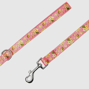 Tropical Yellow Plumeria Flower Dog Leash
