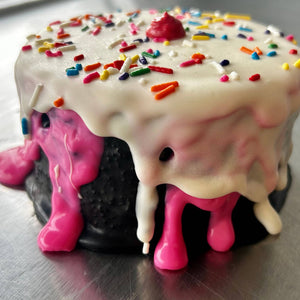 Neapolitan “ICE CREAM” Dog Cake Treat