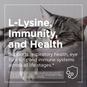 L-Lysine Supplement for Cats