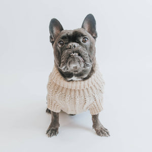 Dog Cable Knit Sweater - Beige