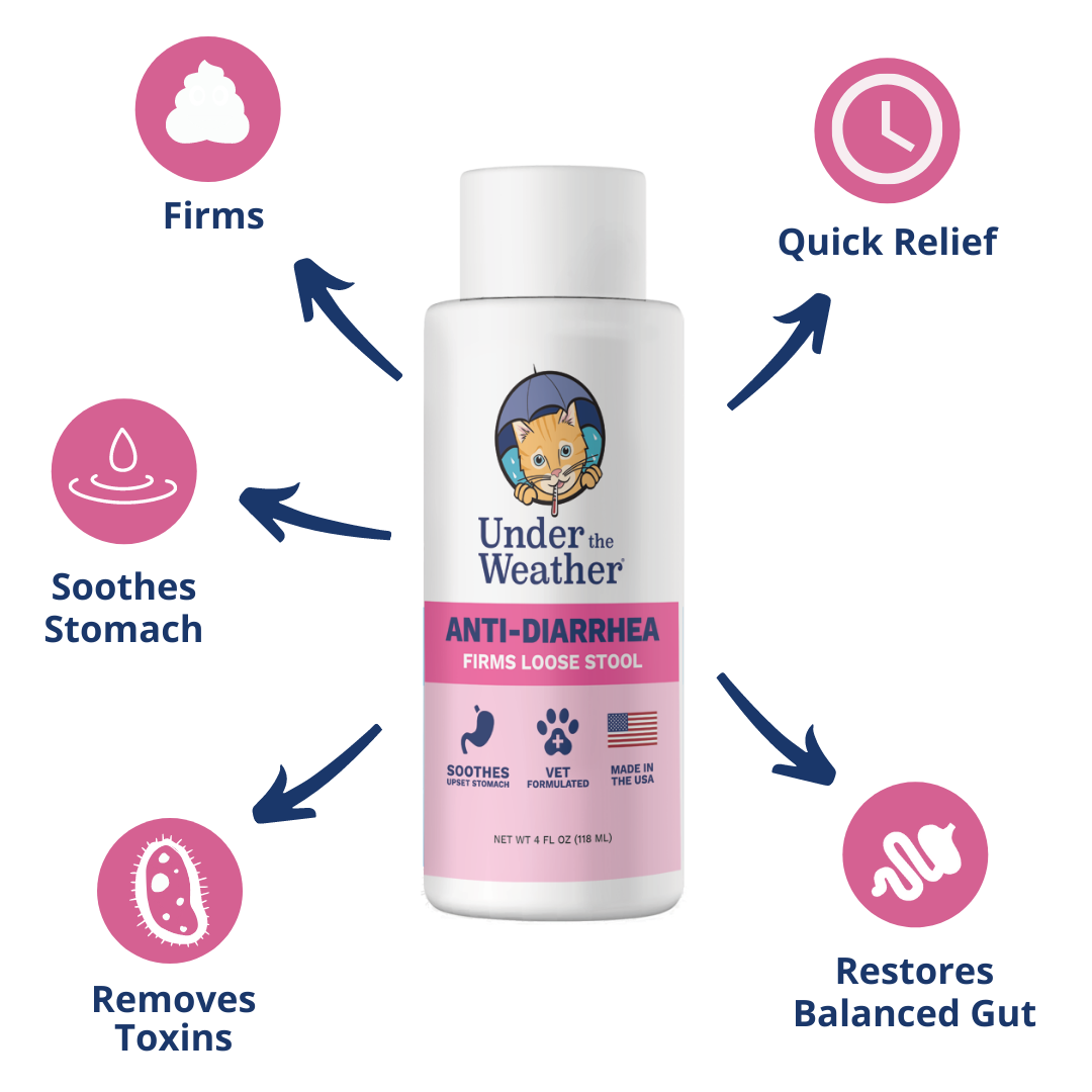 Anti-Diarrhea Liquid For Cats