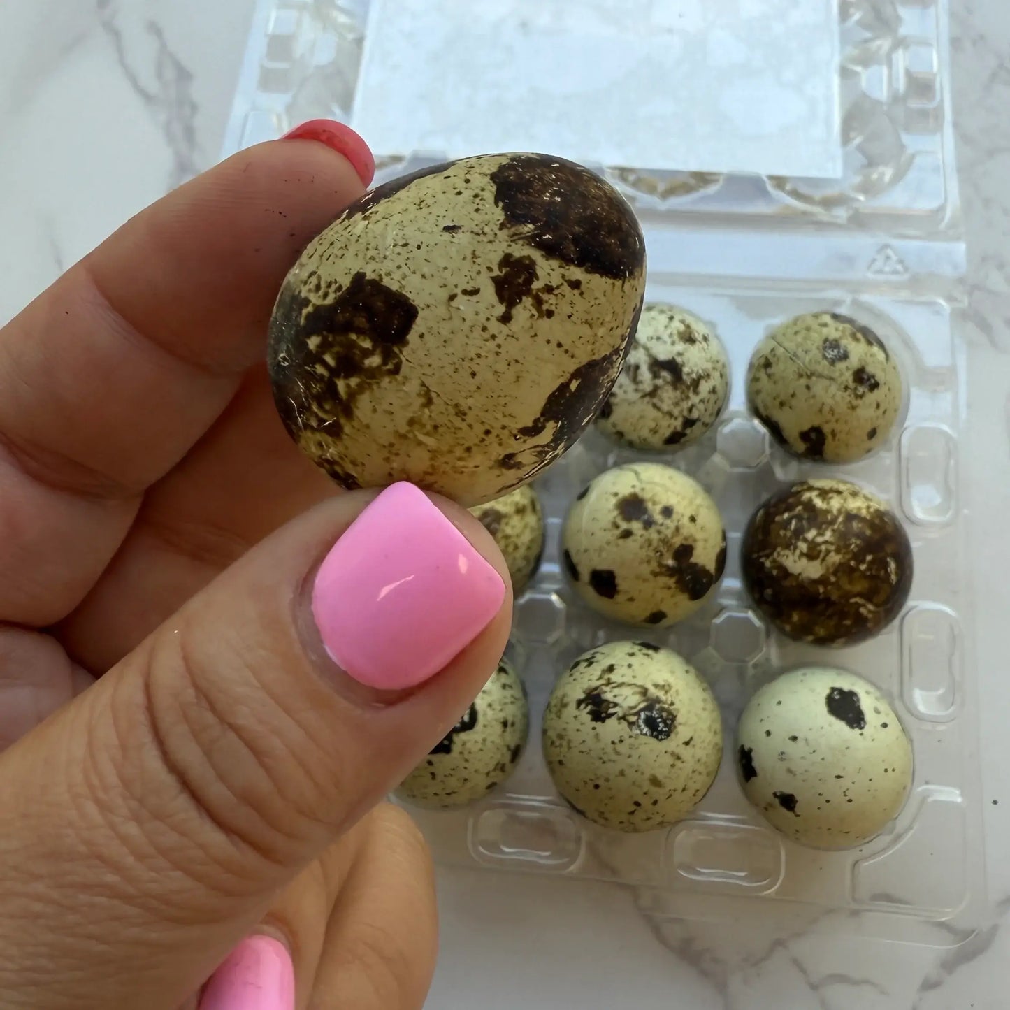 🥚🐶🐱 Freeze-Dried Whole Quail Eggs – Single-Ingredient Treats for Dogs & Cats