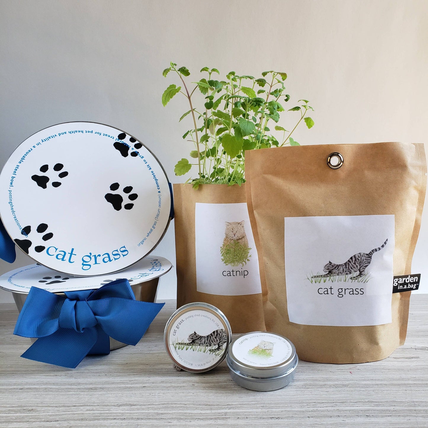 🐱🌱Garden in a Bag | Catnip | Spring Pet Treat Gift