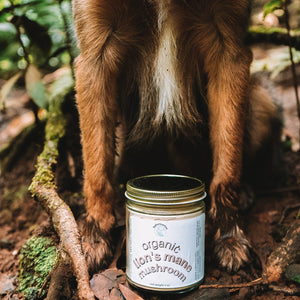 Organic Lion's Mane Mushroom Supplement