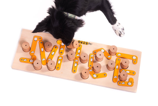 MICE - Pet Puzzle