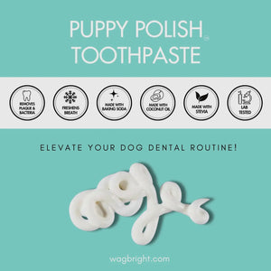 Puppy Polish Toothpaste - Filet Mignon (Beef)