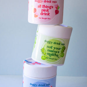 Carrot Cake Milkshake Doggy Drink Mix - Easter Dog Treats