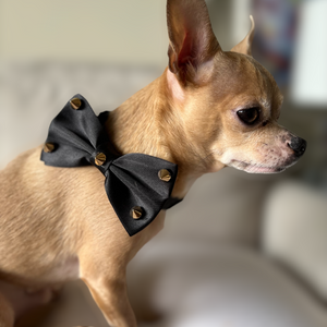 Dapper Satin Stud & Rhinestone Bowtie