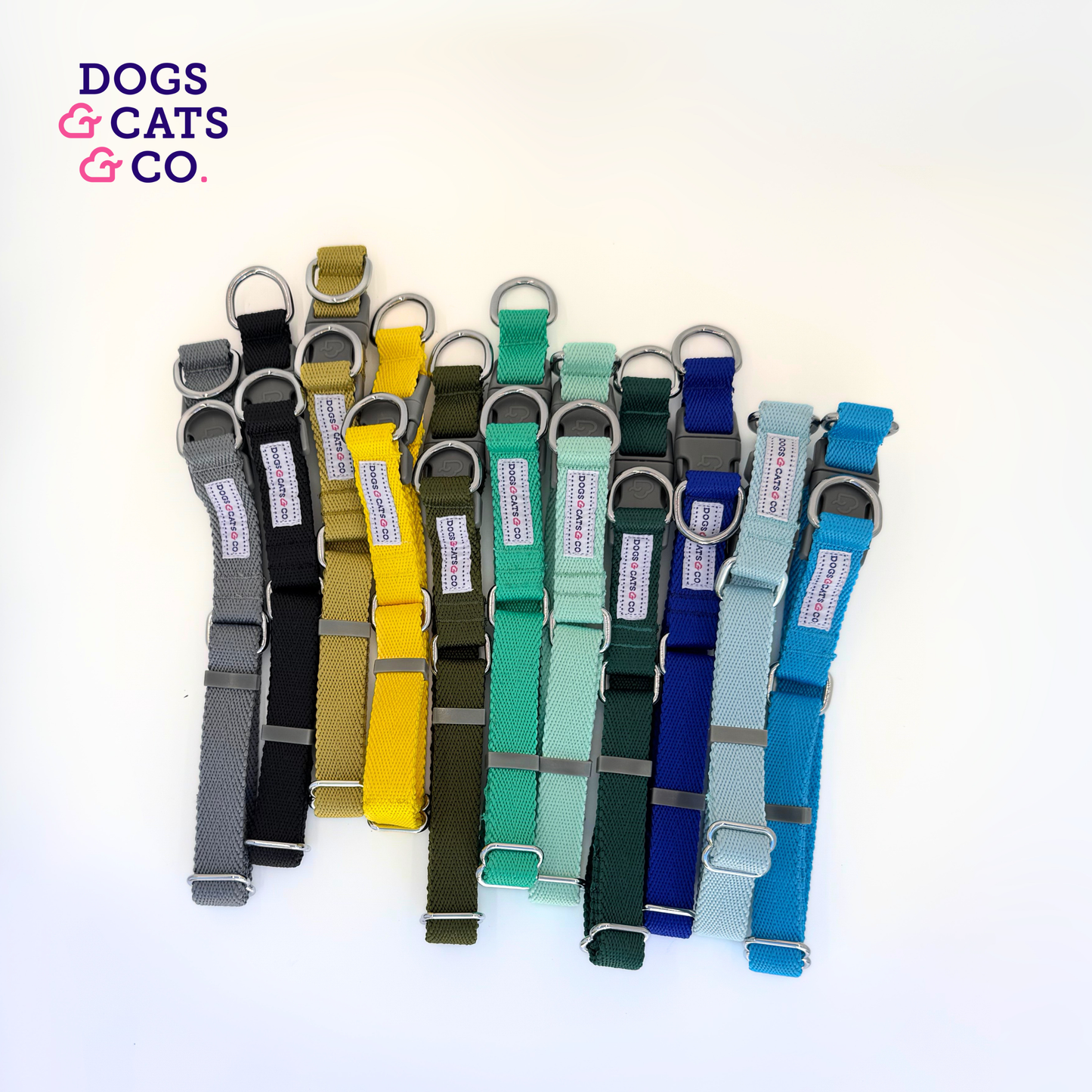 ✨ Dogs & Cats & Co. Double D-Ring Dog Collar 🐾