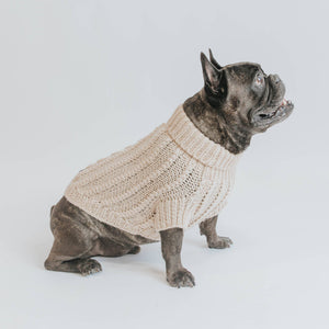 Dog Cable Knit Sweater - Beige