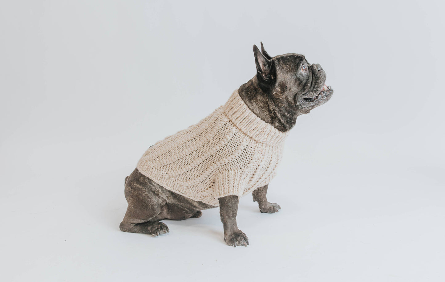 Dog Cable Knit Sweater - Beige