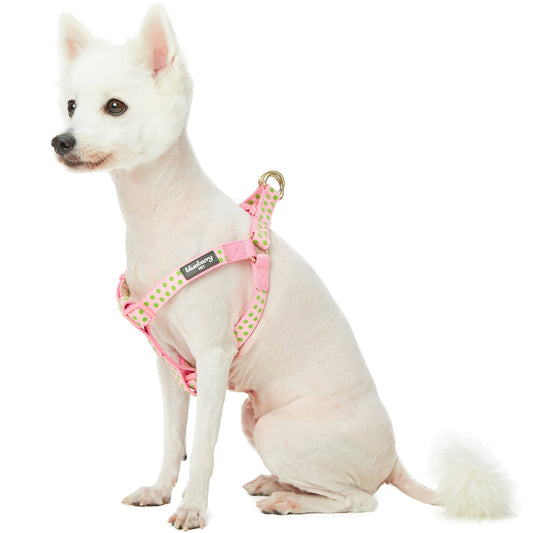 🐾✨Velvety Polka Dot Flocking Dog Harness