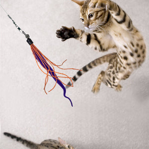 Wiggly Wand Cat Toy