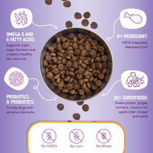 Grain Free Duck, Veg, Berries