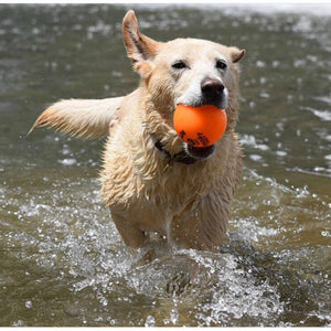 Fetch and Glow Ball