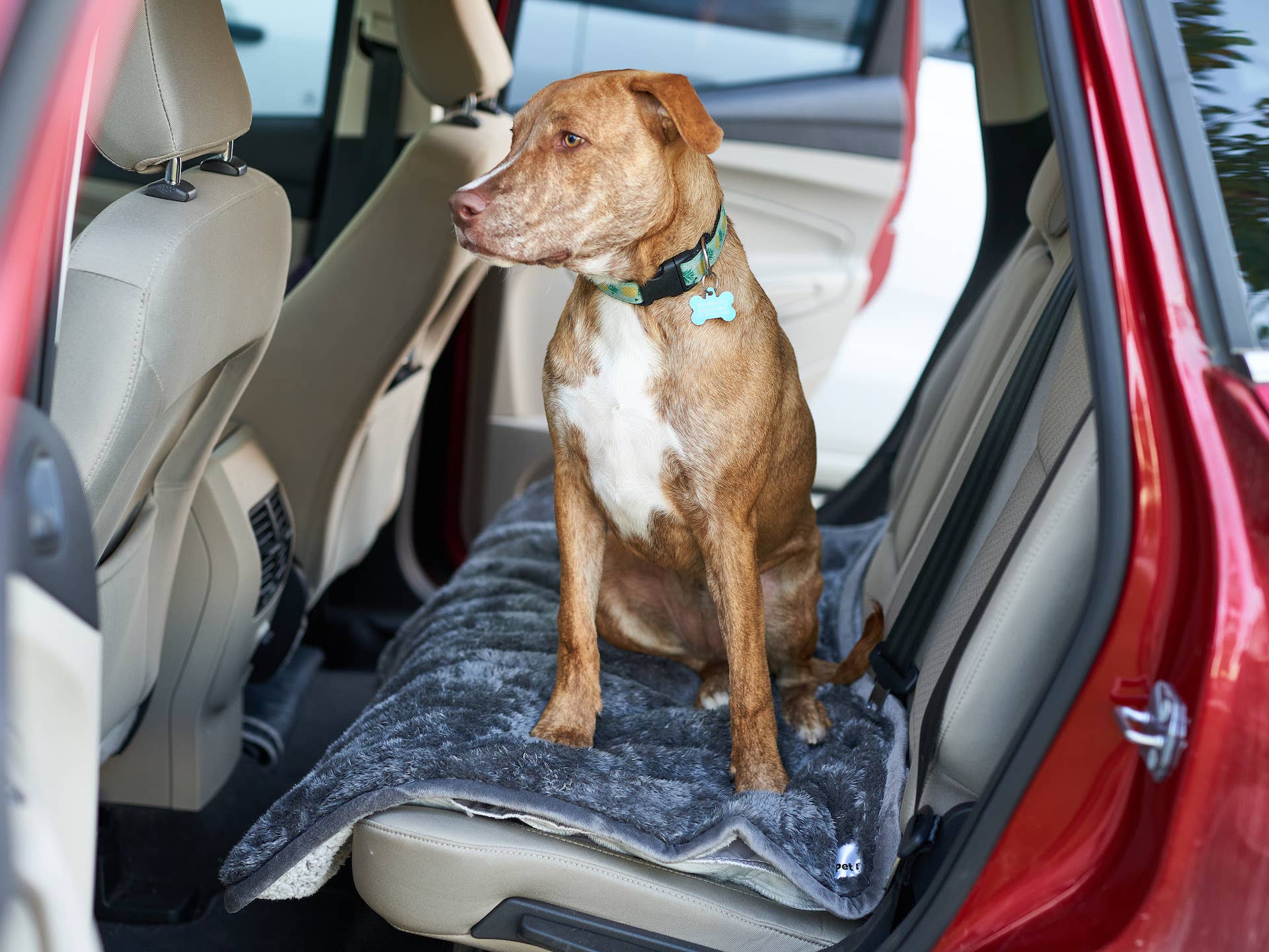 Pawtect® Blankets, Waterproof Pet Blankets