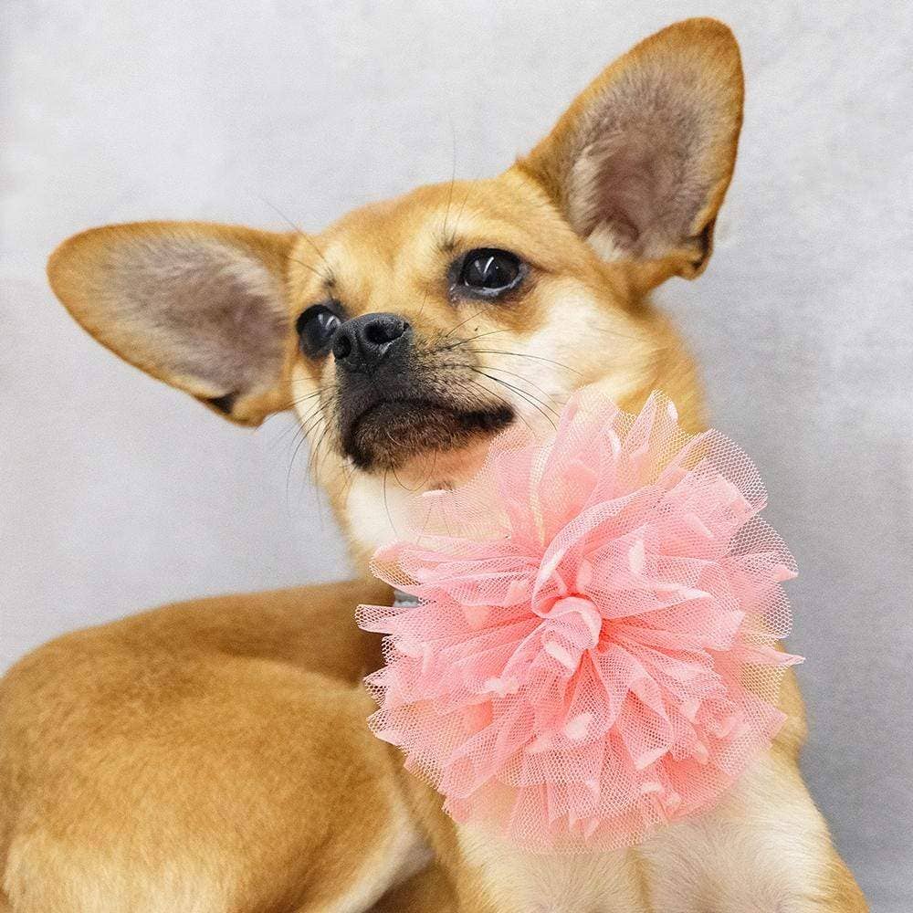 🌸👑 Flower & Pendant Dog Collar Accessory Set